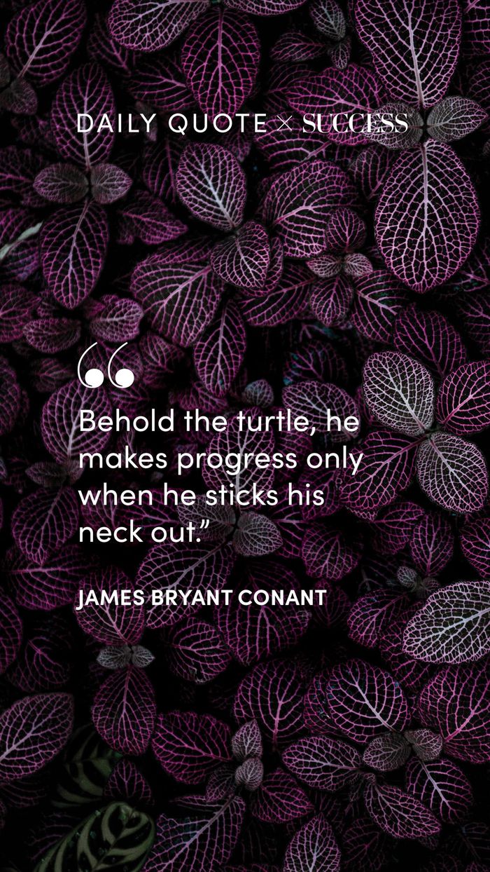 "Behold the turtle, he makes progress only when he sticks his neck out." — James Bryant Conant, on Take Action